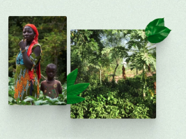 Smoking® y Trees for the Future® plantan 150.000 árboles en el África Subsahariana