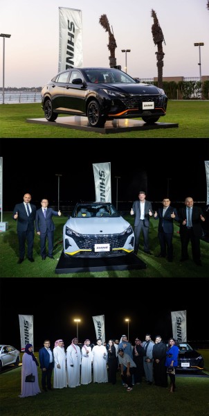 DONGFENG SHINE Blog Images